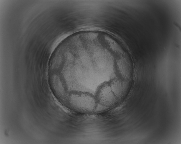 X0000103281231200809261218