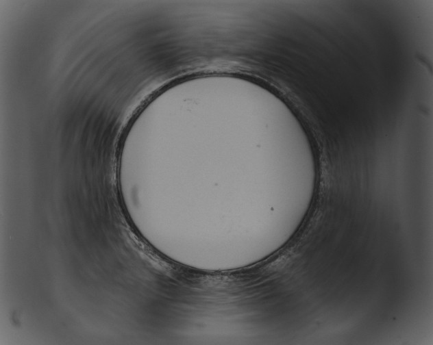 X0000103281232200809261218