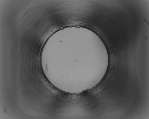 X0000103281234200809261218