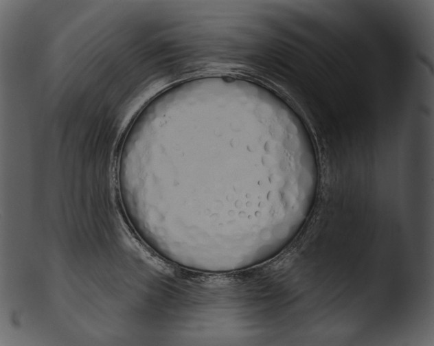 X0000103281235200809261218