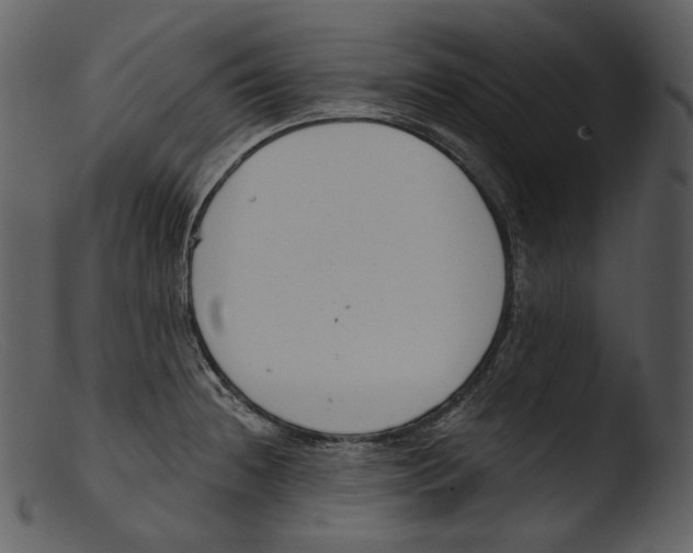 X0000103281236200809261218