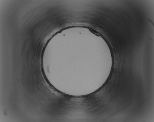 X0000103281237200809261218