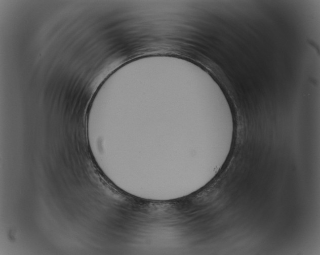 X0000103281242200809261218