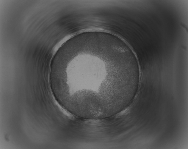 X0000103281245200809261218