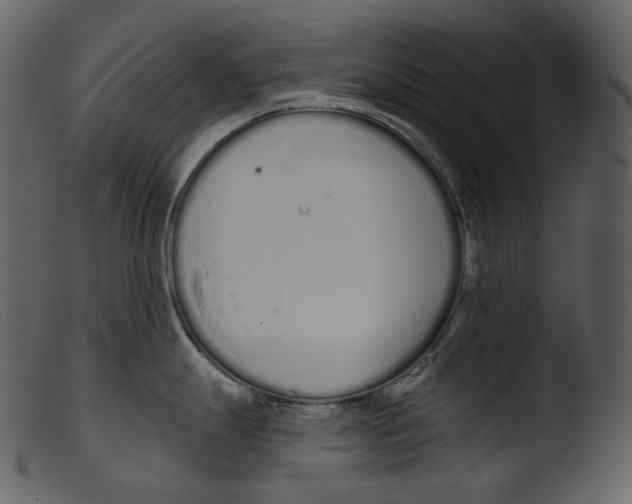 X0000103281247200809261218