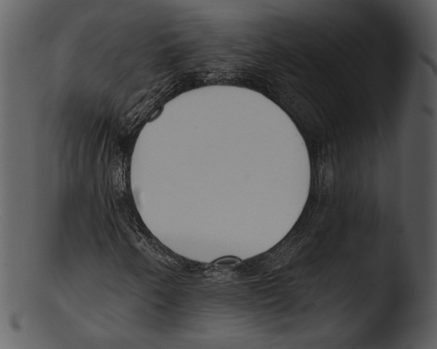 X0000103281250200809261217