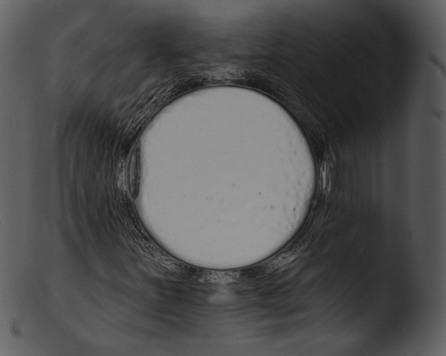 X0000103281251200809261217