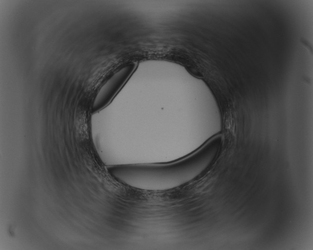 X0000103281252200809261217