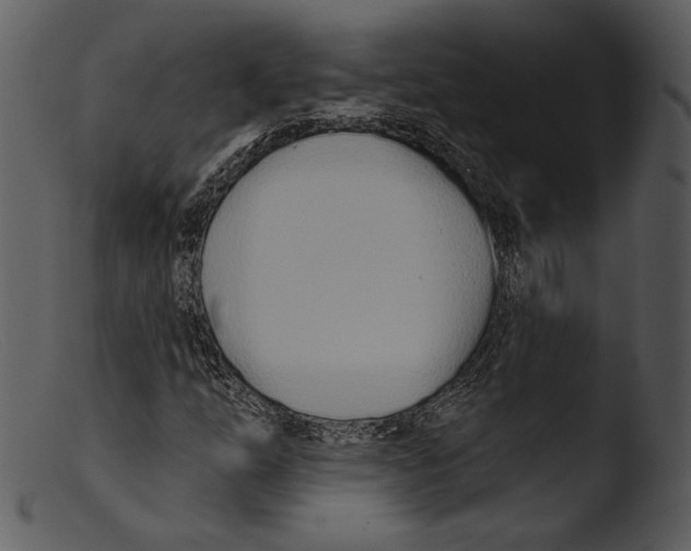 X0000103281254200809261217