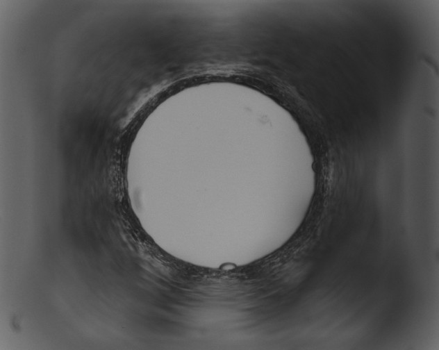 X0000103281256200809261217