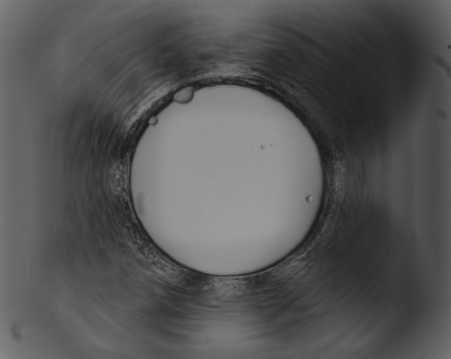 X0000103281258200809261217