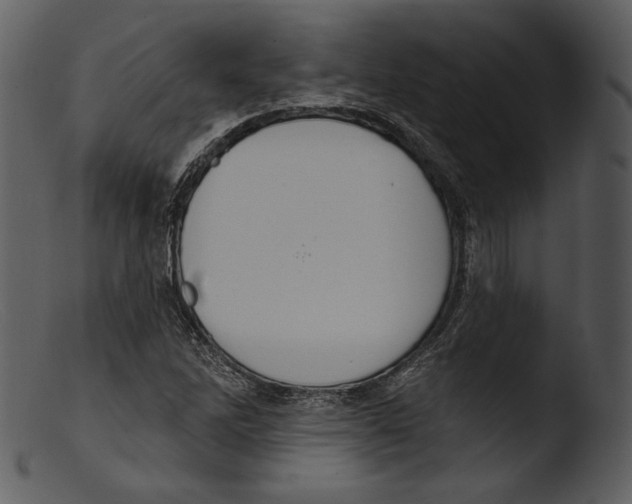 X0000103281262200809261217