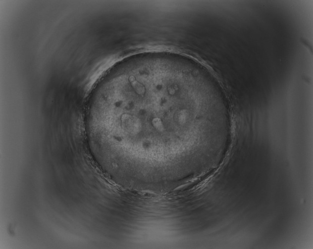 X0000103281263200809261217