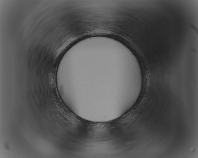 X0000103281266200809261217