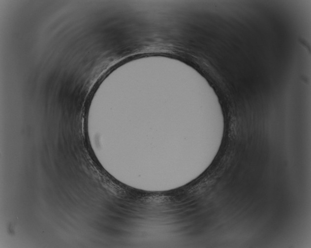 X0000103281268200809261217