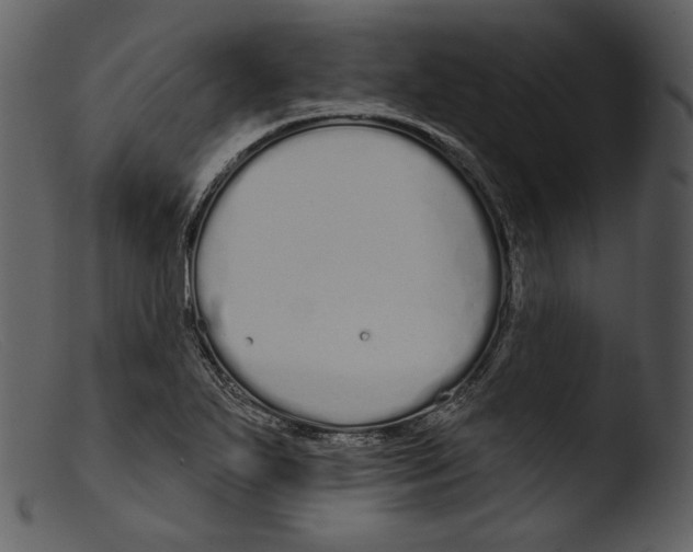 X0000103281271200809261217