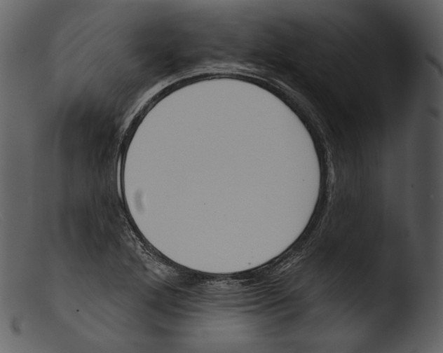 X0000103281272200809261217