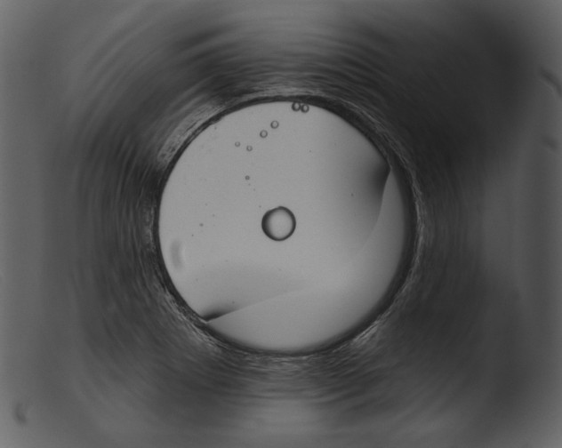 X0000103281273200809261217