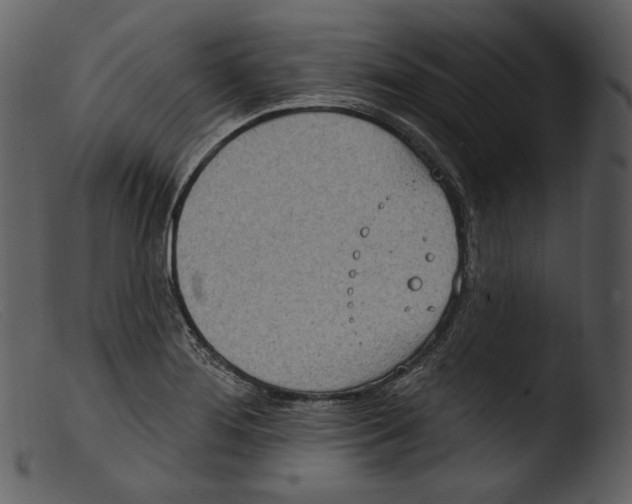 X0000103281276200809261217