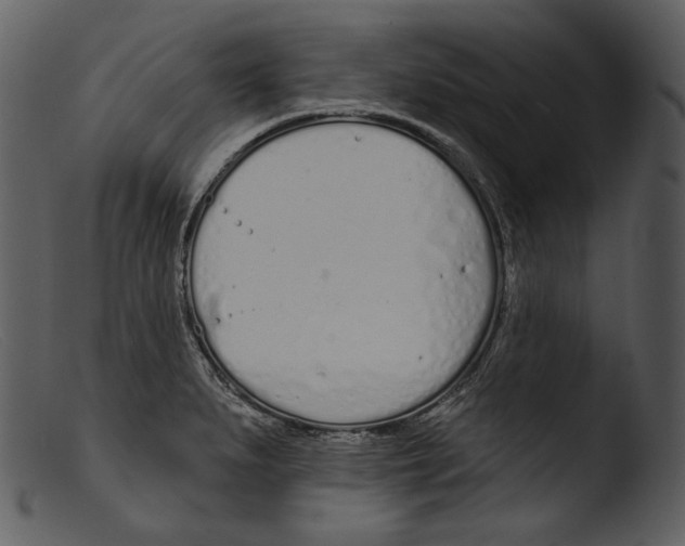 X0000103281279200809261217