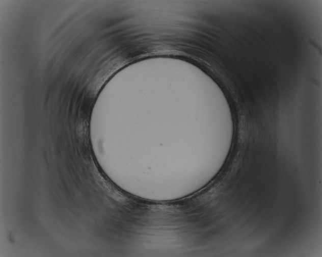 X0000103281281200809261217