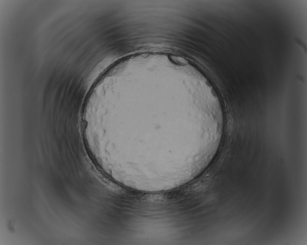 X0000103281283200809261217