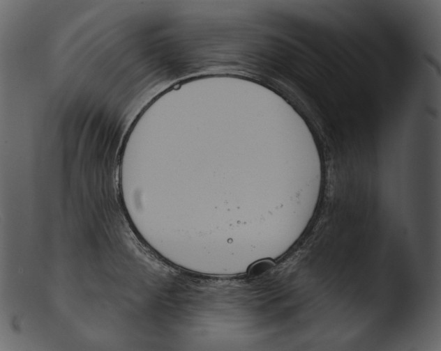 X0000103281284200809261217