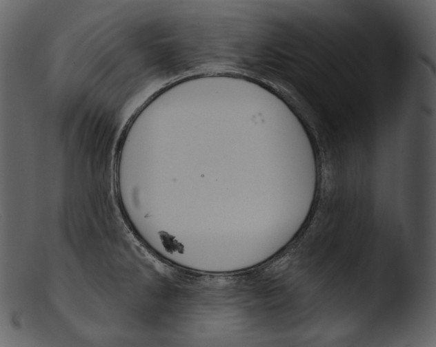 X0000103281286200809261217