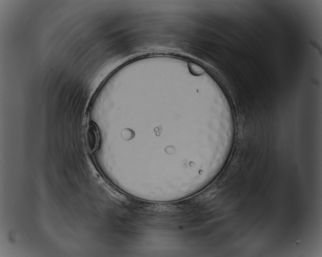 X0000103281287200809261217