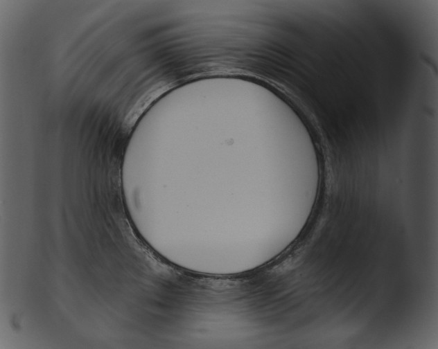 X0000103281289200809261217