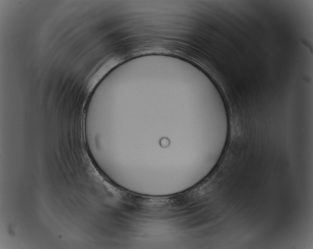 X0000103281290200809261217