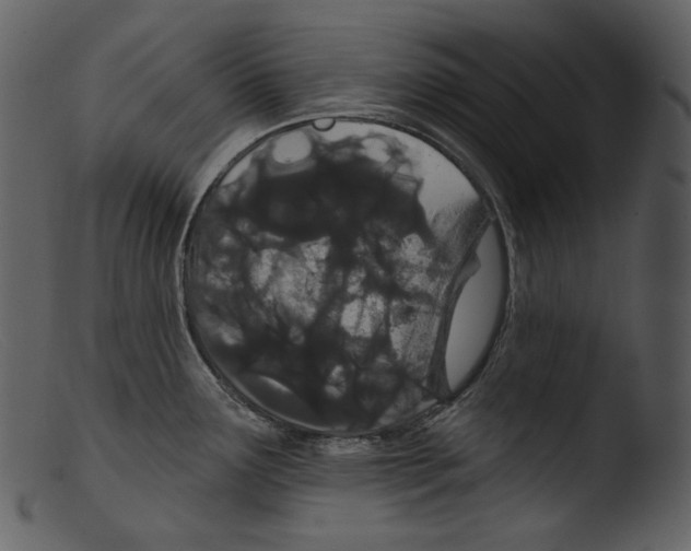 X0000103281291200809261217