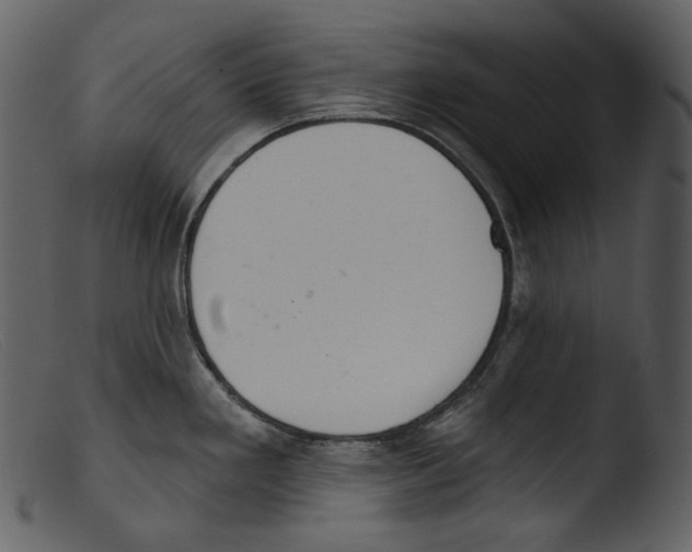 X0000103281293200809261216