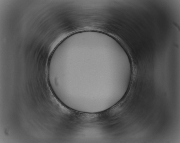 X0000103281294200809261216