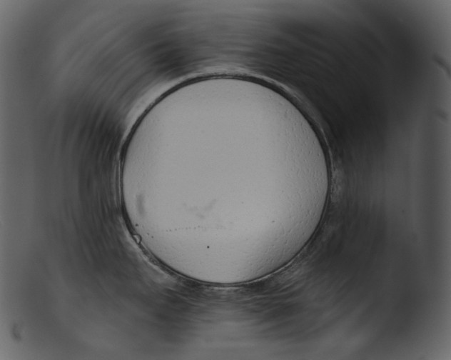 X0000103281295200809261216