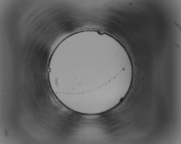 X0000103281296200809261216