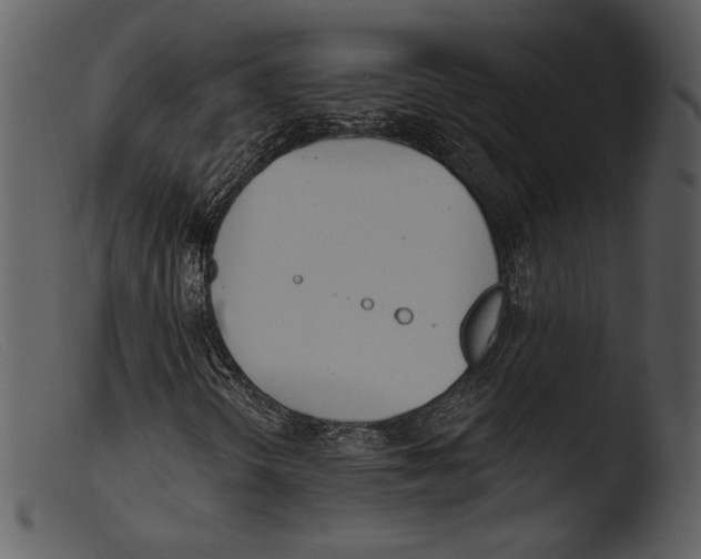 X0000103281298200809261216