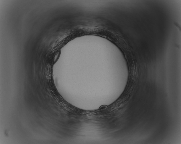 X0000103281301200809261216