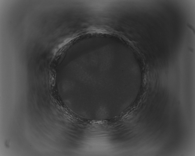 X0000103281303200809261216