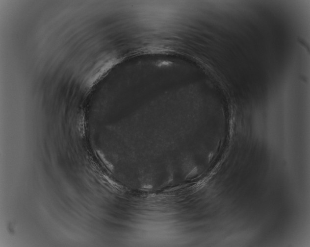 X0000103281306200809261216