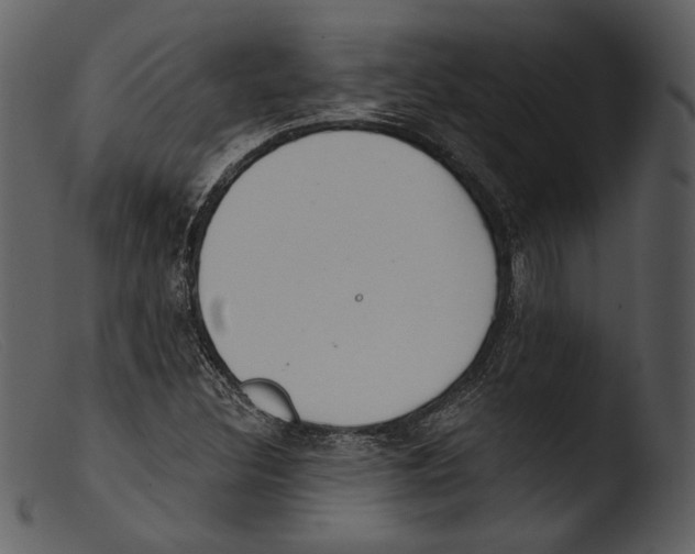 X0000103281308200809261216