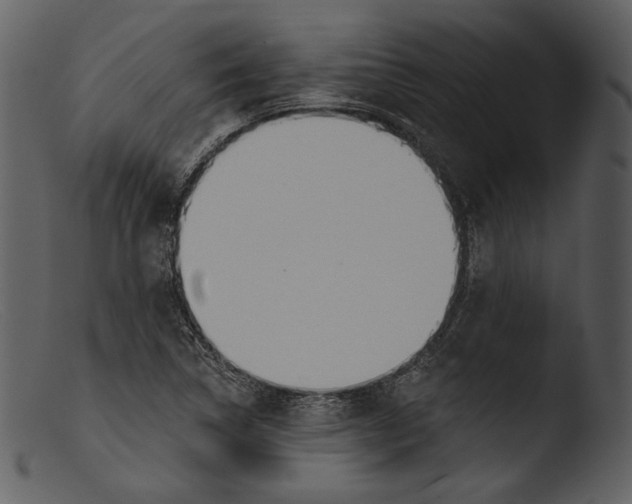 X0000103281314200809261216