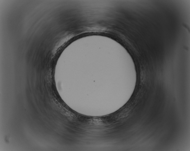 X0000103281315200809261216