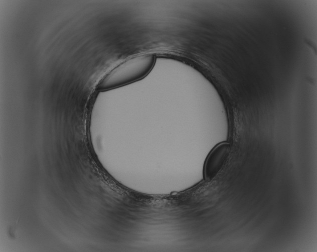 X0000103281316200809261216