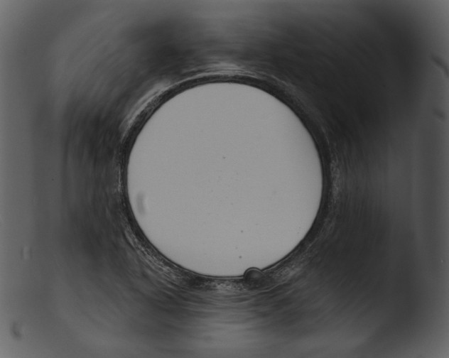 X0000103281318200809261216