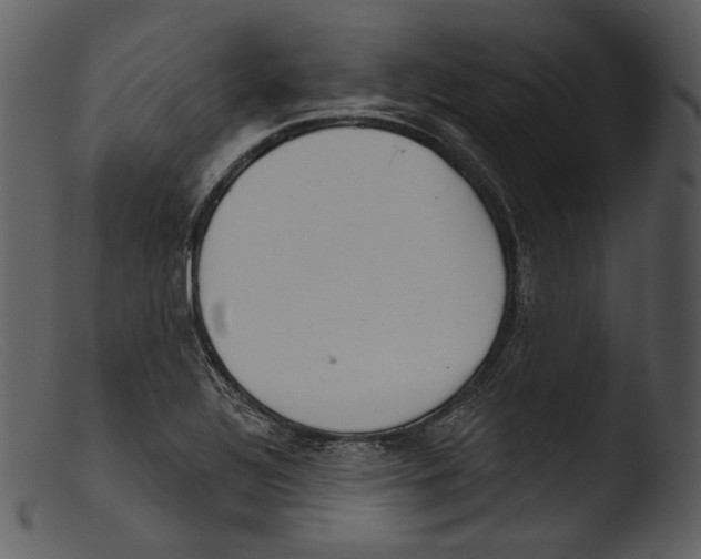 X0000103281320200809261216