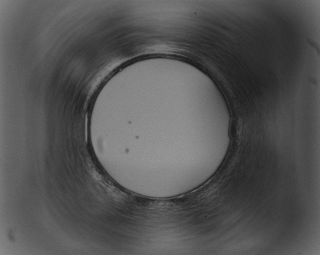 X0000103281323200809261216