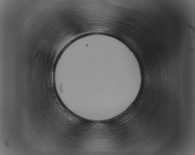 X0000103281324200809261216