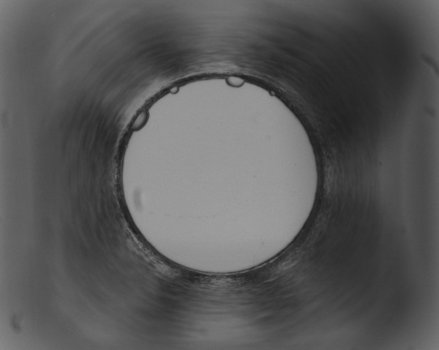 X0000103281326200809261216