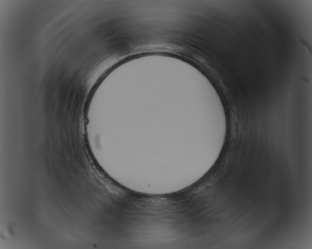 X0000103281328200809261216